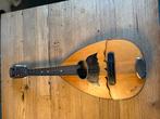 Maestro mandoline, Muziek en Instrumenten, Snaarinstrumenten | Mandolines, Ophalen of Verzenden, Gebruikt