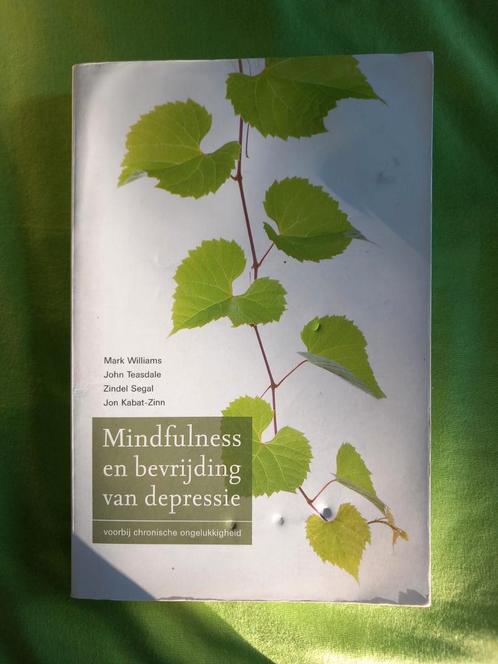 Mark Williams - Mindfulness en bevrijding van depressie, Boeken, Psychologie, Gelezen, Ophalen of Verzenden