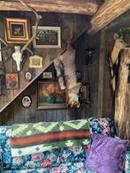 Tk opgezette vos Taxidermie stilleven, Verzamelen, Dierenverzamelingen, Ophalen, Wild dier, Opgezet dier