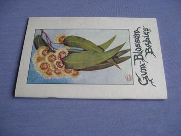 May Gibbs - Gum-Blossom Babies beschikbaar voor biedingen