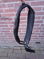 Longeersingel, Dieren en Toebehoren, Ophalen of Verzenden, Overige soorten