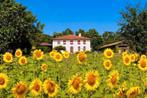 Huis / boerderij met gîte op 1,5 ha in ZW-Frankrijk, Huizen en Kamers, Buitenland, 13 kamers, Frankrijk, Woonhuis, Verkoop zonder makelaar