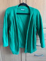 Geisha vest, Ophalen of Verzenden, Gedragen, Maat 38/40 (M), Groen