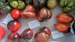 Zaden bijzondere tomaten eigen collectie, Ophalen of Verzenden, Voorjaar, Volle zon, Zaad