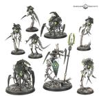 Kill Team: Tomb World Canoptek Circle + Necron Warriors, Ophalen of Verzenden, Nieuw, Warhammer 40000, Figuurtje(s)