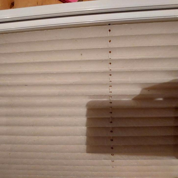 plissé 20mm wit met parelmoer coating 6 stuks, Huis en Inrichting, Stoffering | Gordijnen en Lamellen, Zo goed als nieuw, 150 tot 200 cm