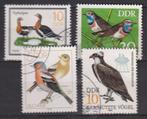 DDR Vogelbescherming vogels, Ophalen of Verzenden, Gestempeld, Dier of Natuur