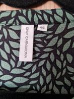 Nieuw Tuniek 46, Kleding | Dames, Grote Maten, Ophalen of Verzenden, Zo goed als nieuw, Blouse of Tuniek