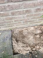 Gratis schoon aarde tuingrond zand (10 m3) ivm uitbouw, Tuin en Terras, Ophalen, Tuinaarde