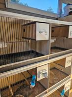 Broedkooien van Keulen, Dieren en Toebehoren, Ophalen of Verzenden, Gebruikt, Hout, Broedkooi of Kweekkooi