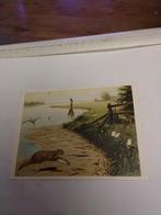 M.A.  KOEKKOEK. "AAN DE RIVIER", Ophalen of Verzenden, Overige thema's