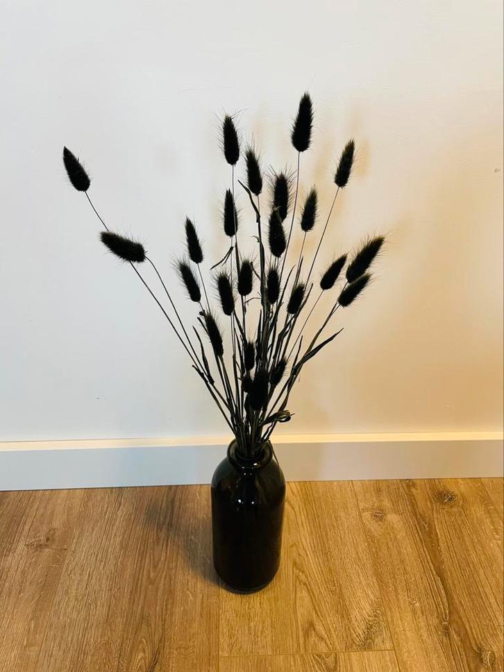 Vaas met gedroogde hazenstaart - 70cm, Huis en Inrichting, Woonaccessoires | Droogbloemen, Zo goed als nieuw, Ophalen
