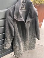 Grijze wollen jas, Kleding | Dames, Ophalen of Verzenden, Gedragen, Maat 46/48 (XL) of groter, Grijs