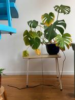 Cute triangle table, Huis en Inrichting, Woonaccessoires | Zuilen en Pilaren, Ophalen, Gebruikt