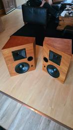 Monitor speaker electrovoice sentry 505, Ophalen, 120 watt of meer, Front, Rear of Stereo speakers, Overige merken