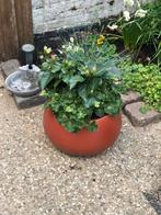 Bloembakken en Plantenbakken Bloembakken met binnenpot, Ophalen, Kunststof, Minder dan 60 cm, Rond
