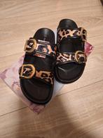 Slippers, Kleding | Dames, Schoenen, Ophalen of Verzenden, Nieuw, Slippers