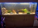 Aqaurium 1.50 compleet, Dieren en Toebehoren, Ophalen of Verzenden, Zo goed als nieuw, Gevuld zoetwateraquarium