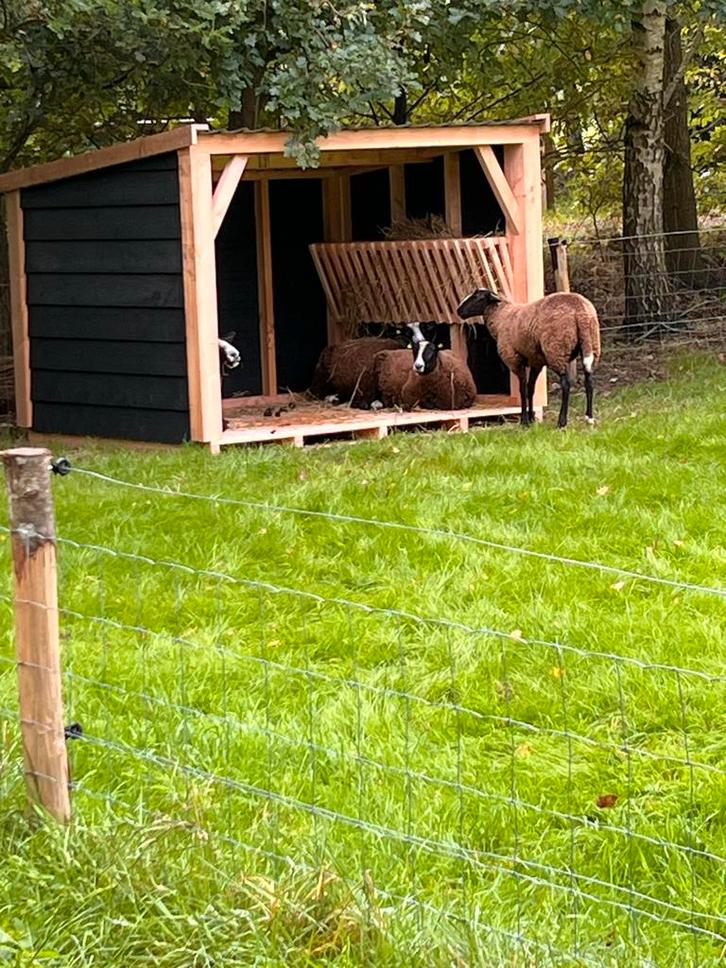 Mobiel schuilhok, Dieren en Toebehoren, Stalling en Weidegang, Weidegang