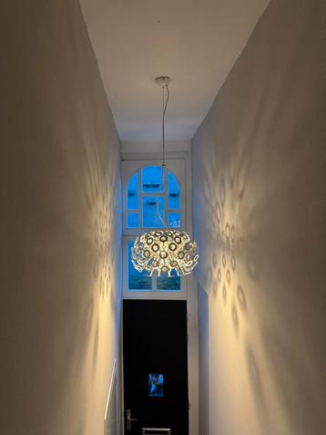 Moooi dandelion paardenbloem hanglamp design wit beschikbaar voor biedingen