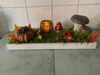 tray herfst decoratie met mos, Ophalen, Zo goed als nieuw