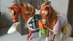 2 Grand Champions paarden vintage, Verzamelen, Ophalen of Verzenden