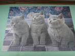 puzzel dieren -3 katten in grijs-1000 stuks-volledig, Ophalen of Verzenden, Gebruikt, Overige typen