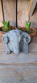 Ramskop, Antiek en Kunst, Curiosa en Brocante, Ophalen of Verzenden