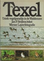 TEXEL - JP Strijbos, Verzenden, Zo goed als nieuw, Vogels