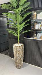 Mooi schelpenvazen met groenplanten, Ophalen of Verzenden, Zo goed als nieuw