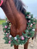 Paarden Kerstkrans, Dieren en Toebehoren, Paarden en Pony's | Overige Paardenspullen, Ophalen of Verzenden, Nieuw, Overige soorten