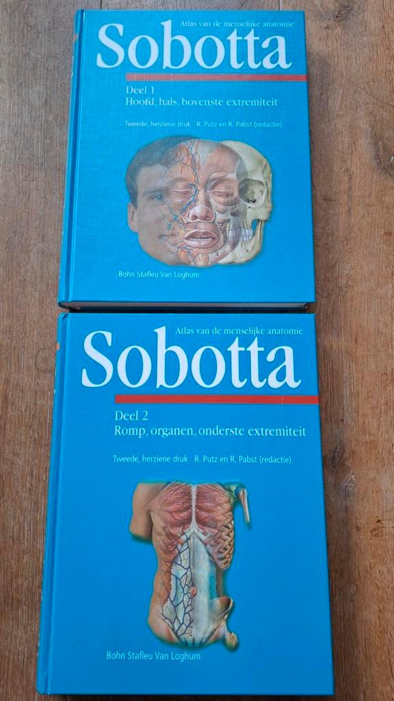 Sobotta Atlas Anatomie Deel 1 & 2, Boeken, Studieboeken en Cursussen, Zo goed als nieuw, HBO, Beta, Ophalen of Verzenden