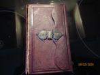 ANTIEKE  LEREN BIJBEL MET ZILVEREN SLOT-+ PSALMEN -1881, Antiek en Kunst, Antiek | Boeken en Bijbels, Ophalen of Verzenden