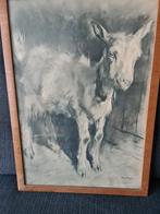 Vintage Tekening van een Geit, Ophalen of Verzenden