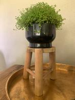 Plantenkrukje, Ophalen of Verzenden, Nieuw, Hout