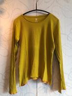 Shirt lange mouw Hema 158/164, Ophalen of Verzenden, Gebruikt, Meisje, Shirt of Longsleeve