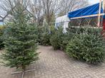 Kerstbomen Nordman ook Zondag open!!!!, Ophalen