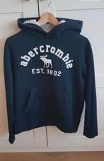 Hoodie/Trui Abercrombie en Fitch, Ophalen of Verzenden, Zo goed als nieuw