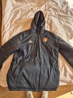 Feyenoord winterjas, Kleding | Heren, Jassen | Zomer, Ophalen of Verzenden, Zo goed als nieuw, Maat 52/54 (L)