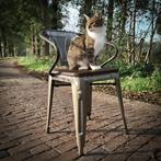 Industriele cafestoelen Tolix stoelen Sienna bistro, Huis en Inrichting, Stoelen, Nieuw