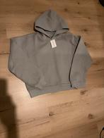 Saint Alexander Hoodie - Grijs - Maat M, Kleding | Heren, Truien en Vesten, Ophalen of Verzenden, Nieuw, Maat 48/50 (M), Grijs