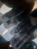 Bontjas vos - Maat S/M, Ophalen of Verzenden