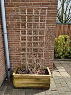 Bloembak met klimrooster - Ideaal voor klimplanten!, Tuin en Terras, Bloembakken en Plantenbakken, Ophalen, Gebruikt, Balkon, 60 tot 100 cm