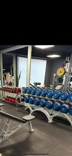 Panatta dumbells 6-40kg, Ophalen, Zo goed als nieuw, Dumbbell