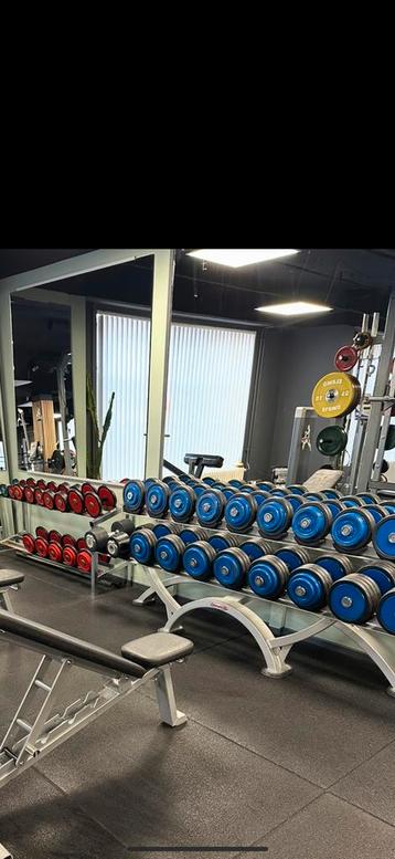 Panatta dumbells 6-40kg beschikbaar voor biedingen