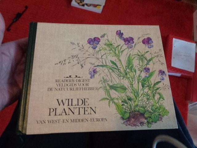 READERS DIGEST Veldgids  WILDE PLANTEN, Boeken, Ophalen of Verzenden, Zo goed als nieuw, Natuur algemeen