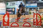 Te koop, 8 jarige Brantzau vdl merrie, Dieren en Toebehoren, Merrie, Springpaard, L, 7 tot 10 jaar