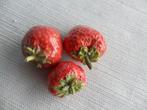 Aardbeien van aardewerk – keramiek (3), Antiek en Kunst, Ophalen of Verzenden