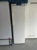 Liebherr Gkv 4310 Koelkast - Horeca, Ophalen, 200 liter of meer, 60 cm of meer, 160 cm of meer