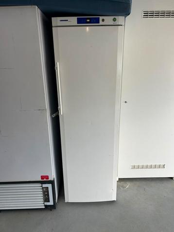 Liebherr Gkv 4310 Koelkast - Horeca beschikbaar voor biedingen